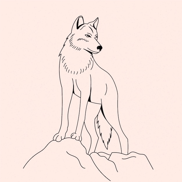 Vettore gratuito illustrazione del profilo del lupo disegnato a mano