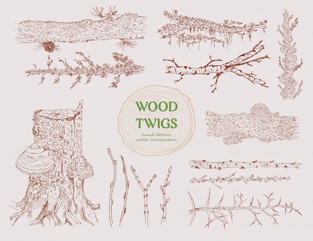 Hand Drawn Wood Branches Set