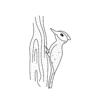 Hand drawn woodpecker on tree trunk icon in doodle style cartoon woodpecker vector icon