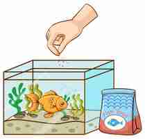 Free vector hand feeding goldfish in the tank