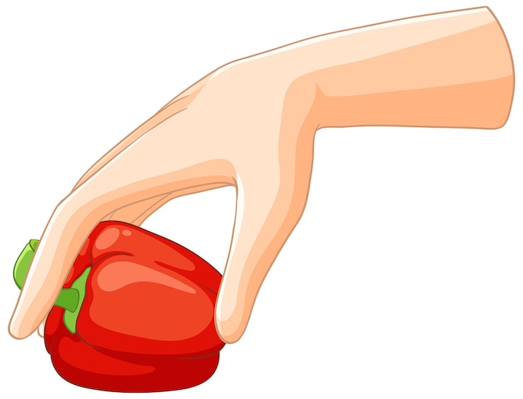 Free Vector hand holding a red bell pepper