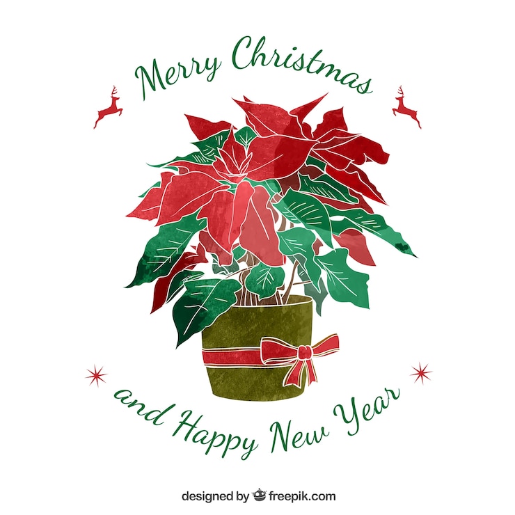 Free Vector hand painted christmas flower pot card