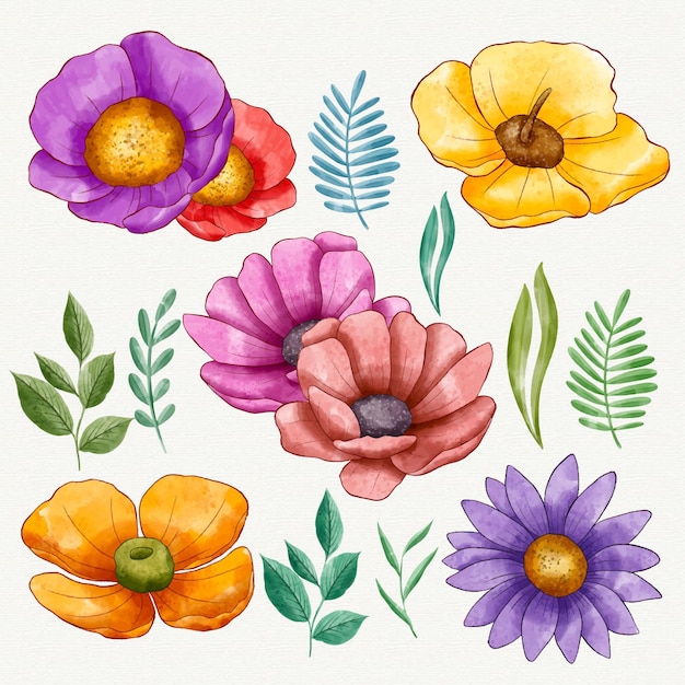 Hand painted colorful flower collection