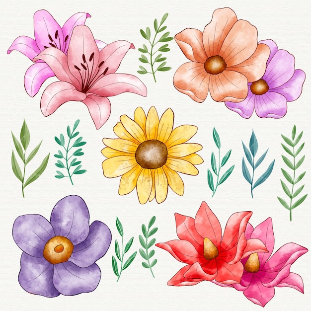 Free vector hand painted colorful flower pack