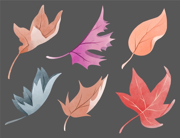 Free vector hand painted different leaves in watercolor collection