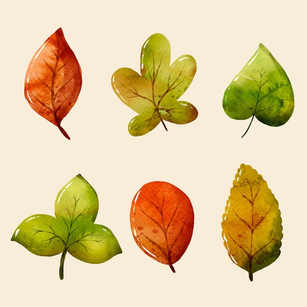 Hand painted different leaves in watercolor collection