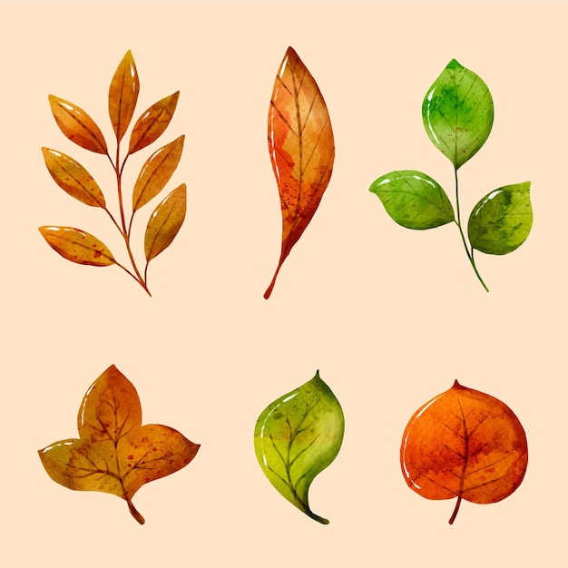 Free vector hand painted different leaves in watercolor collection