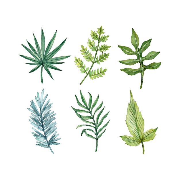 Hand painted different leaves in watercolor collection