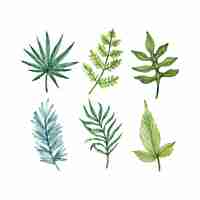 Free vector hand painted different leaves in watercolor collection