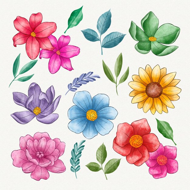 Hand painted flower collection