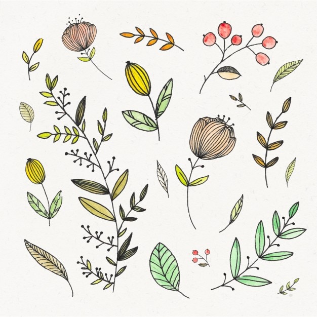 Free vector hand painted flowers collection