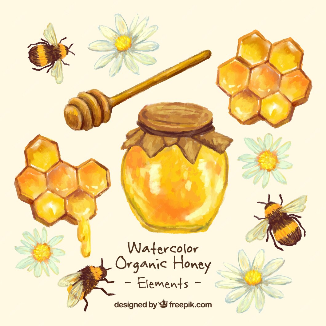Premium Vector | Hand painted honey jar with honeycomb