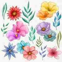 Free vector hand painted pretty flowers set