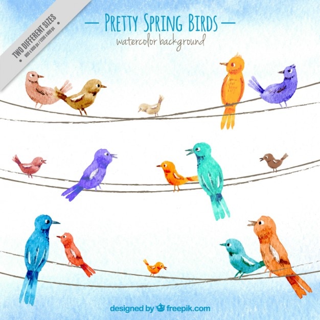 Dipinto a mano disegno uccelli abbastanza primavera