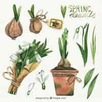 Free vector hand painted realistic spring elements