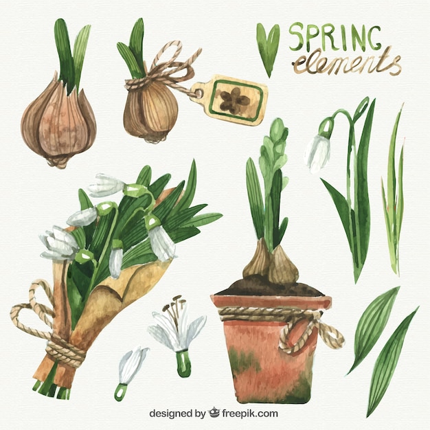 Hand painted realistic spring elements