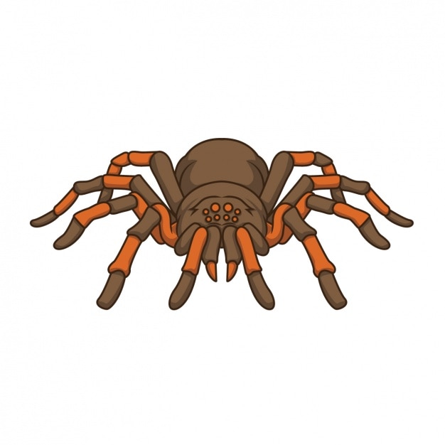 Free vector hand painted spider design