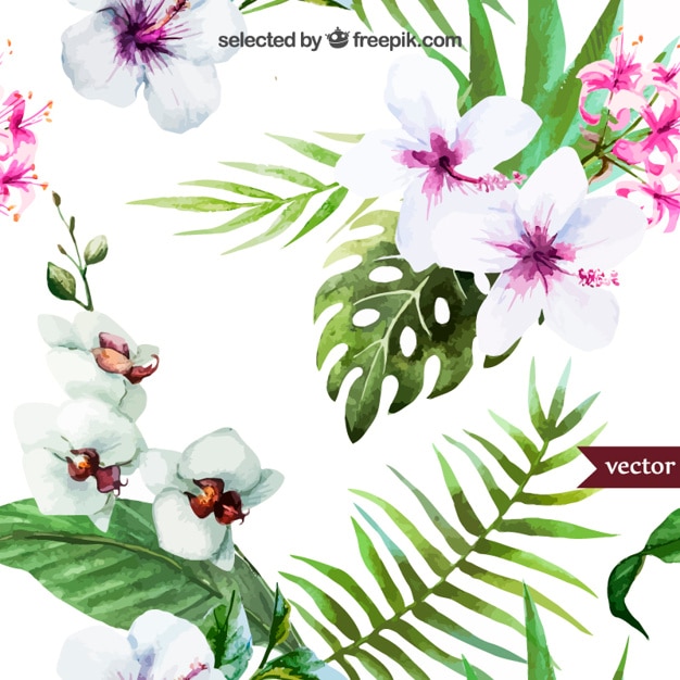 Free vector hand painted tropical plants