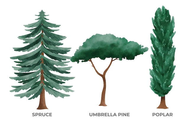 Free vector hand painted type of trees collection