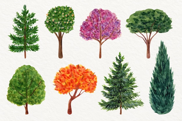 Free vector hand painted type of trees collection