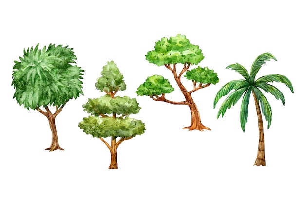 Free vector hand painted type of trees collection