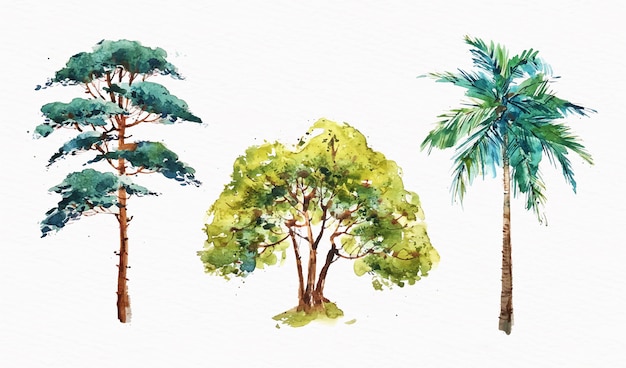 Free vector hand painted type of trees collection