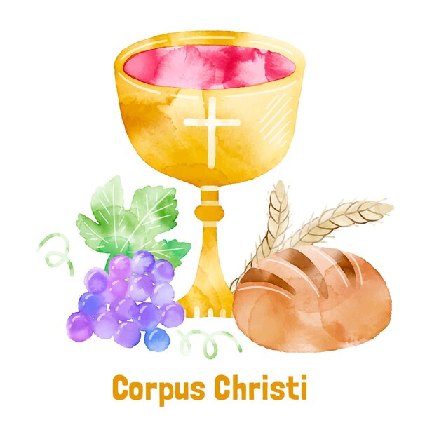 Hand painted watercolor corpus christi illustration