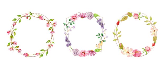Hand painted watercolor floral wreath collection