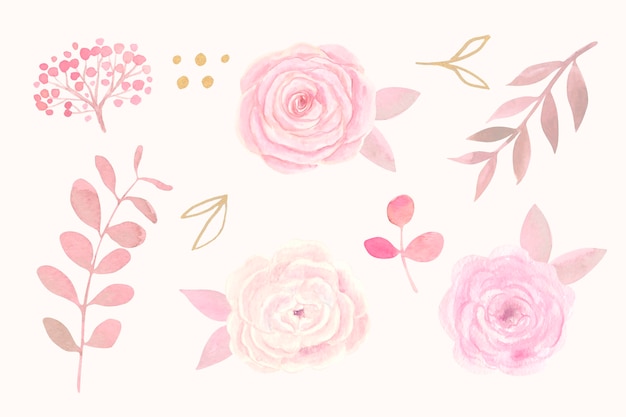 Hand painted watercolor flower collection