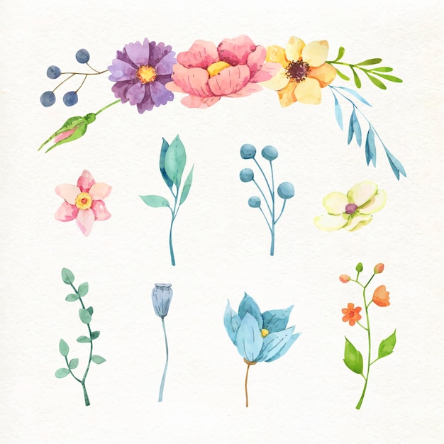 無料ベクター 手描きの水彩画の花のコレクション