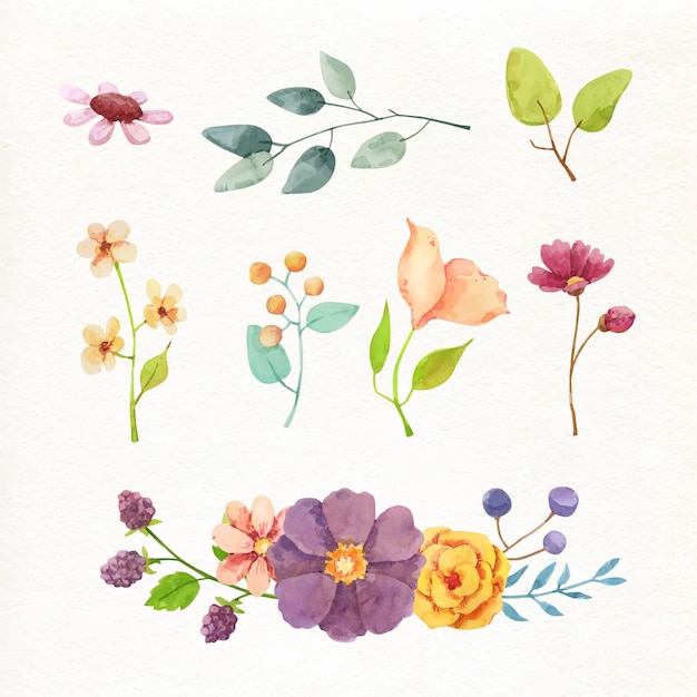 Hand painted watercolor flower collection