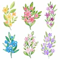 無料ベクター 手描きの水彩画の花のコレクション