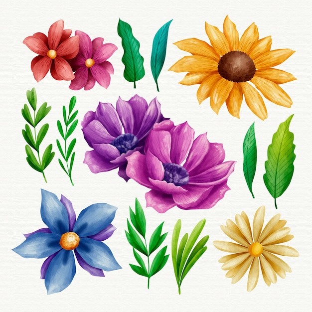 Hand painted watercolor flower collection