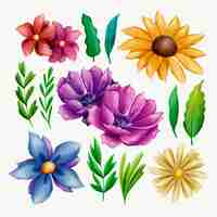 Free vector hand painted watercolor flower collection