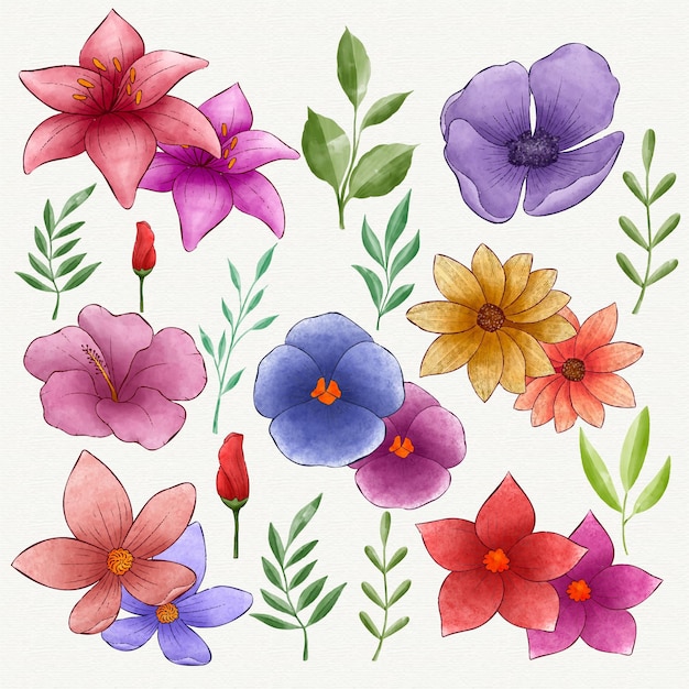 手描きの水彩画の花のコレクション