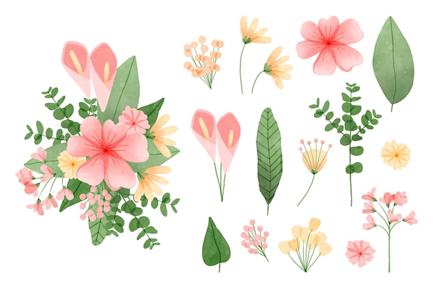 손으로 그린 수채화 꽃 요소 컬렉션
