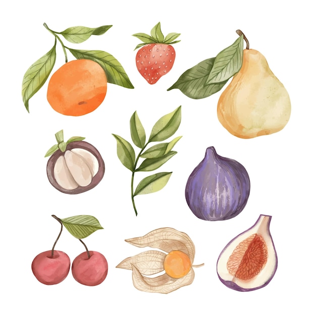 Hand painted watercolor fruit collection