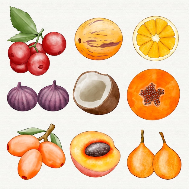 Бесплатное векторное изображение Ручная роспись акварельной фруктовой коллекции