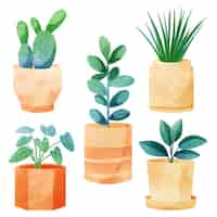 Free vector hand painted watercolor houseplant collection