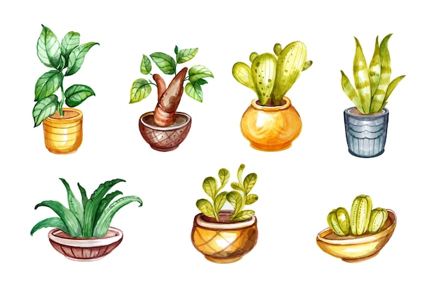 Hand painted watercolor houseplant collection