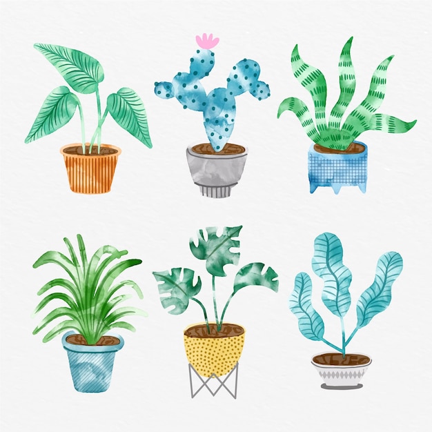 無料ベクター 手描きの水彩観葉植物コレクション