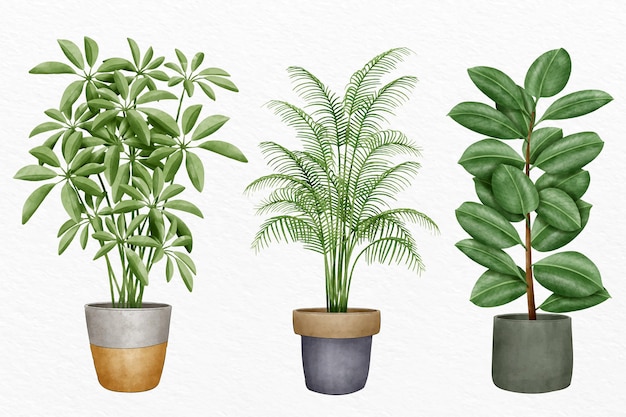Free vector hand painted watercolor houseplant collection