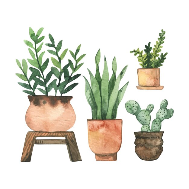 손으로 그린 수채화 houseplants 세트