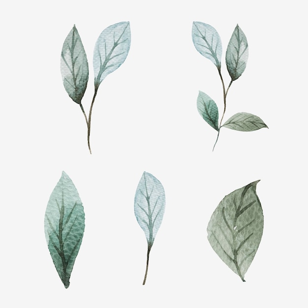 Free vector hand painted watercolor leaves set