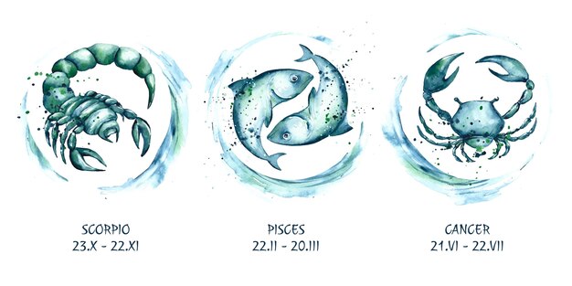 Hand painted watercolor zodiac sign collection