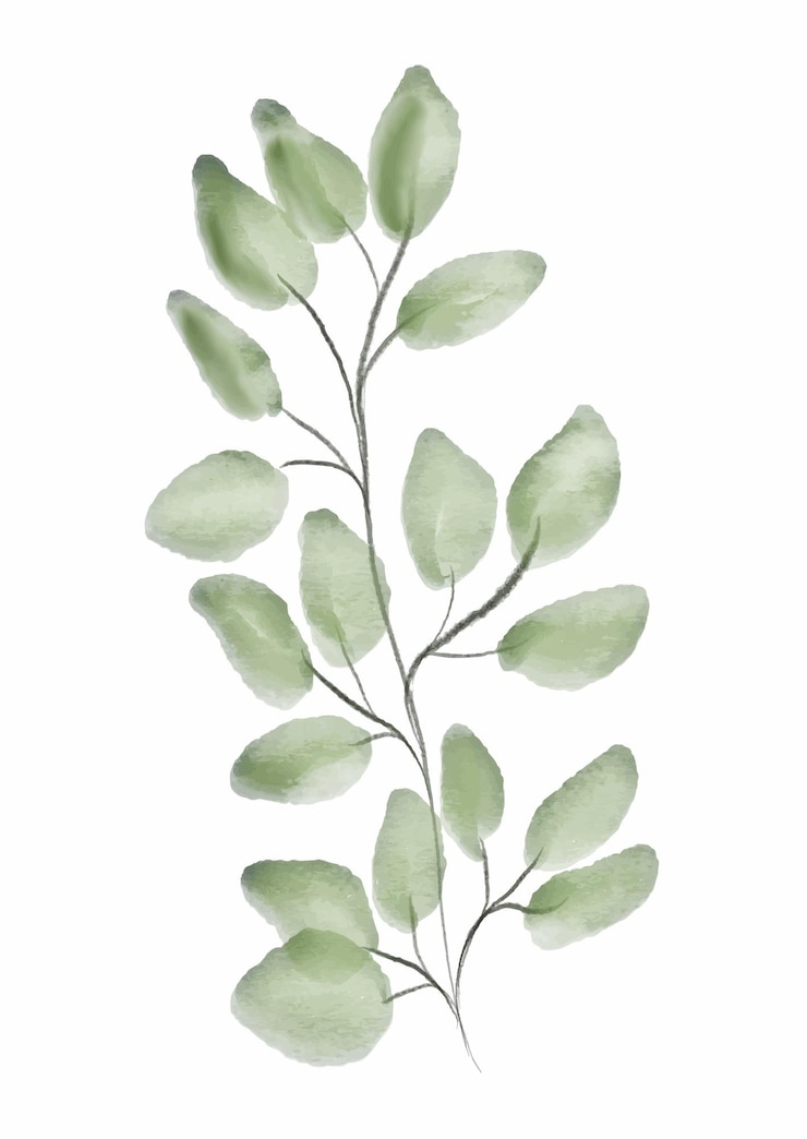 Free Vector hand painted watercolour leaves design