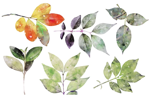 Free vector hand painting floral leaves illustration collection