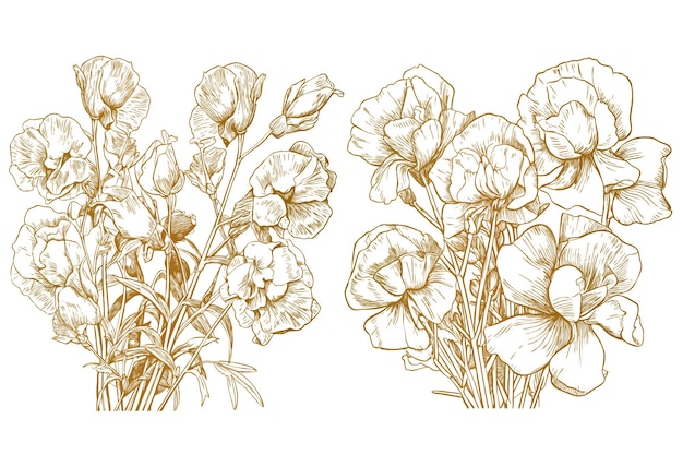Free vector hand sketch sweet pea floral designs set