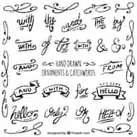 Free vector hand written catchwords with decorative elements