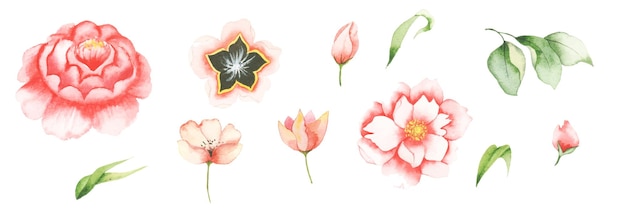 Handmade watercolor floral art design